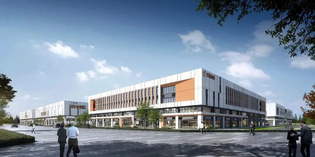 张龙强：落实稳增长方案 稳定发展预期 促进钢铁行业质量效益提升——《钢铁行业稳增